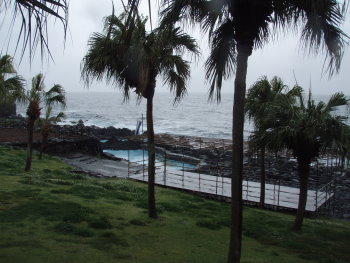 20070422_04.jpg