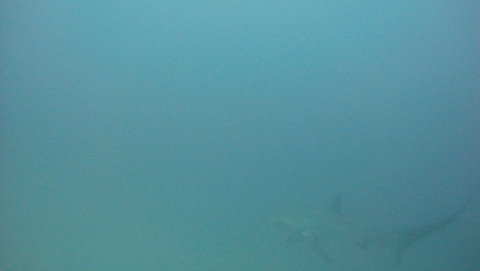 DSC00285.JPG
