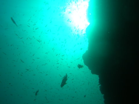 DSCN0100.JPG