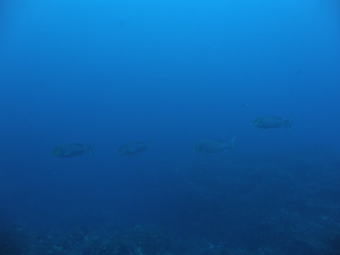 PA250070.JPG