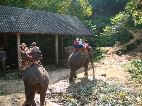 DSC05546.JPG