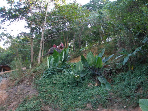 P2144474.JPG