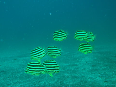 P9270417.JPG
