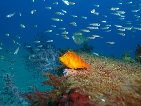 PC120634.jpg