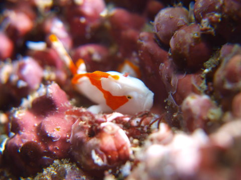 PC120642.jpg