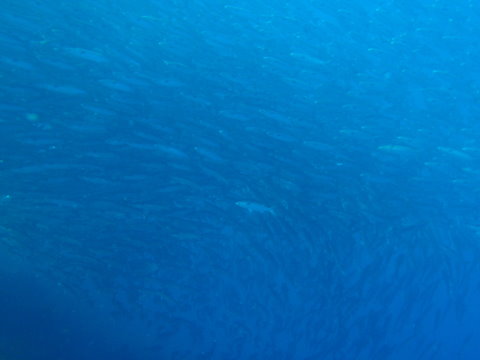 P2220257.JPG