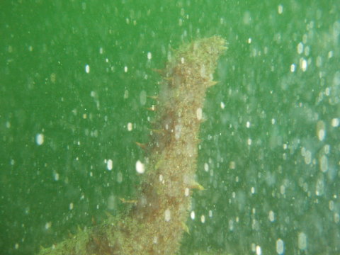 P3140144.JPG